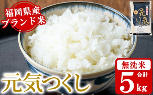 《無洗米》福岡県産ブランド米「元気つくし」(5kg) 無洗米 米 お米 おこめ ごはん げんきつくし ご飯 常温 福岡県産 ブランド米 常温 常温保存 おにぎり おむすび お弁当 ライス【朝ごはん本舗
