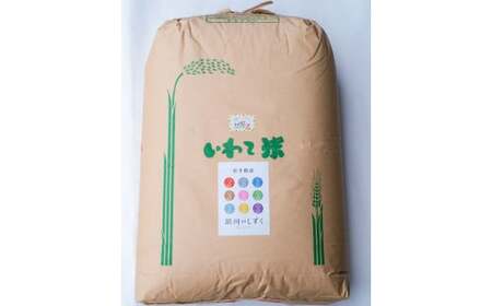 【令和7年産】二戸市産『銀河のしずく』精米27kg【2025年10月中旬以降発送予定】／ 米 精米 ご飯 ごはん 岩手県 