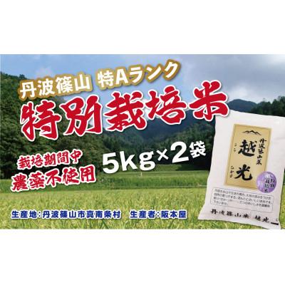 ふるさと納税 丹波篠山市 丹波篠山産　特別栽培米　越光(栽培期間中農薬不使用)(5kg×2袋　精米)