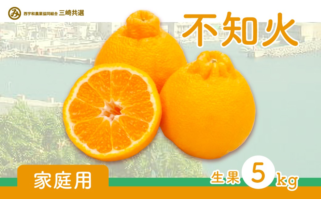 
                  【先行予約】【家庭用】不知火 5kg ※離島への配送不可（2027年2月上旬～2月下旬頃より順次発送予定） 【 ふるさと納税 人気 おすすめ ランキング 柑橘 みかん ミカン 不知火 しらぬい mikan 蜜柑 果物 生果 フルーツ デコポン と同品種 家庭用 愛媛県産 愛媛県 伊方町 送料無料 】 IKTBD016
                
