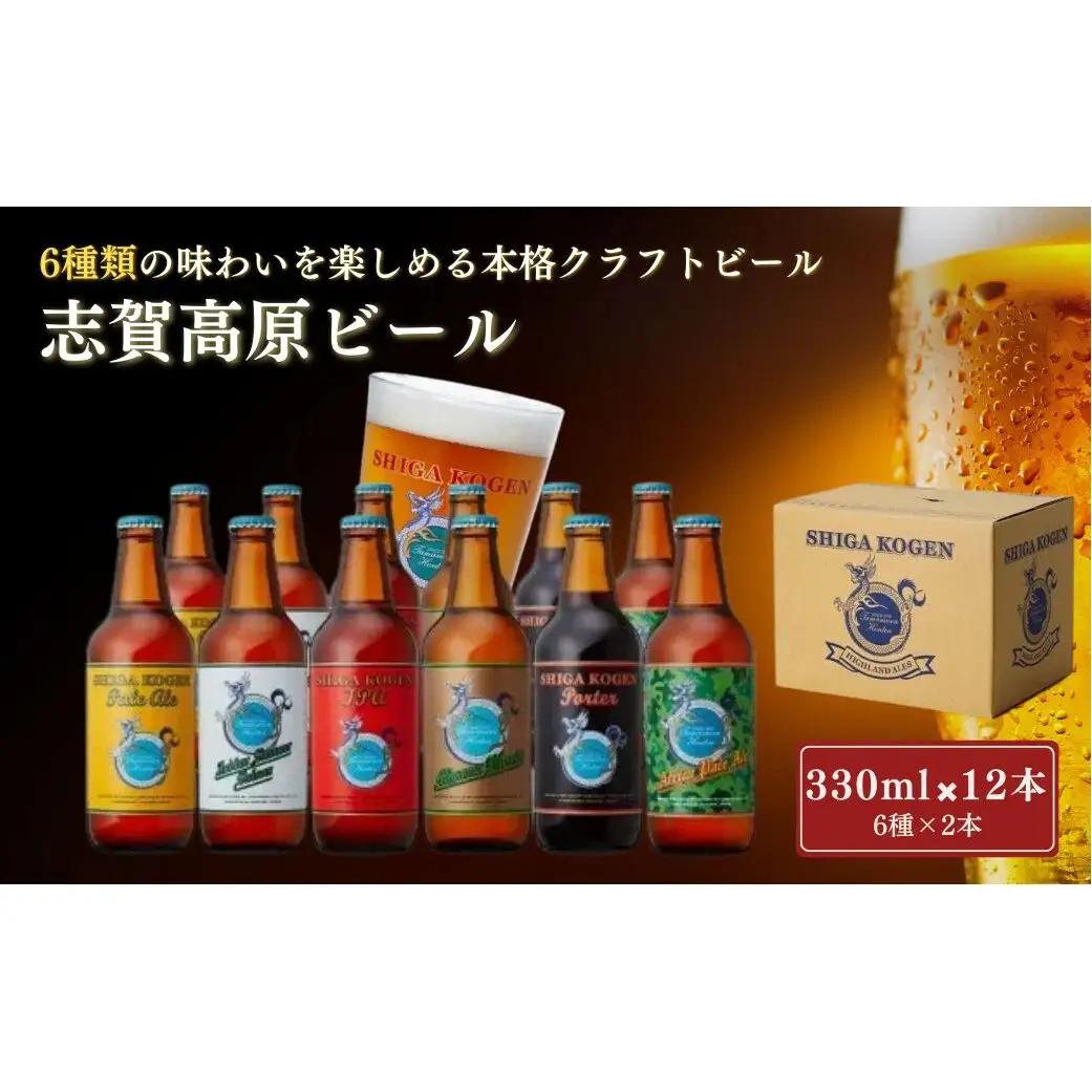 クラフトビール 志賀高原ビール 12本 玉村本店 クラフトビール