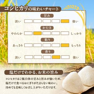 令和7年産 農産物検査員お奨め 魚沼産こしひかり（精米）5kg お米 コシヒカリ
