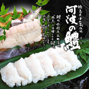 鱧 天ぷら 6個 × 3袋 セット 冷凍 電子レンジ 調理 和食 おかず 徳島県 ハモ 揚げ物 魚介 料理 簡単 かんたん 