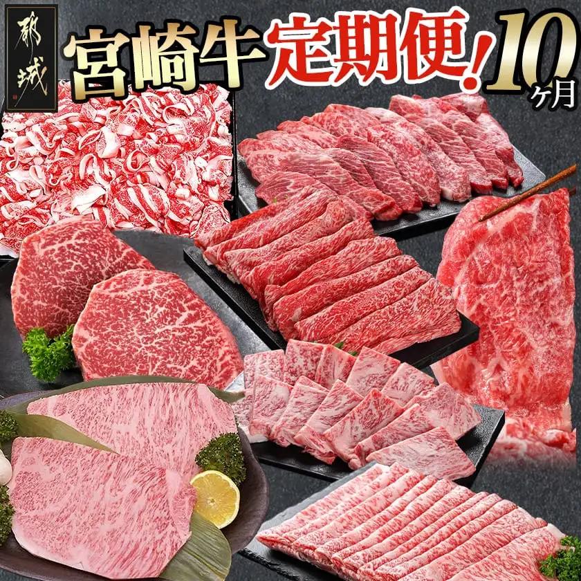 宮崎牛定期便(10ヶ月)〔T120（10）-0103〕_(都城市) 宮崎牛 A5 10ヶ月定期便 赤身 バラ ロース スライス 焼肉用 切り落とし サーロインステーキ