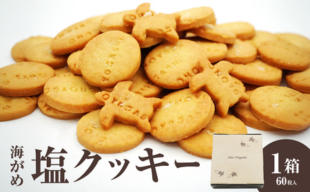 J01018 海がめ塩クッキー充実BOX (57枚+子がめクッキー3枚) 箱入り