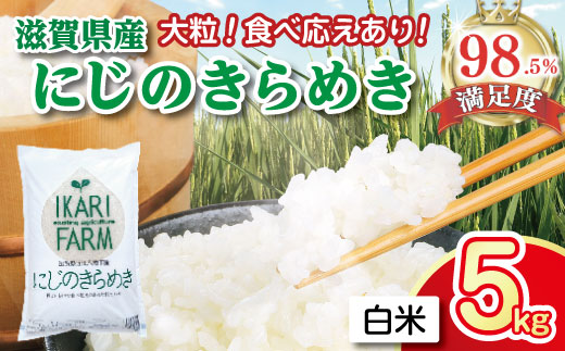【新米】【7年産】にじのきらめき白米5kg　「大粒で食べ応えあり」【C059W】