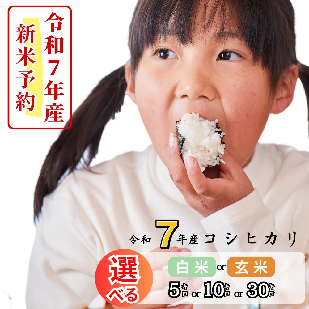 【ふるさと納税】《令和7年産新米予約・10月ごろよりお届け開始》令和7年産 コシヒカリ選べる白米 玄米 2kg 5kg 10kg 30kg 岡山 あわくら源流米 K-al-AECA