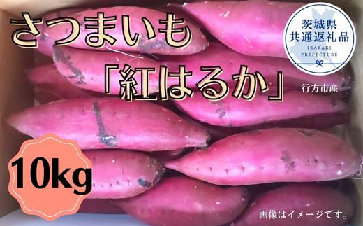 
さつまいも「紅はるか」10kg（茨城県共通返礼品／行方市産）
