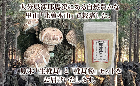 原木生椎茸 どんこ大 400g 以上と椎茸粉 30g セット 生しいたけ 乾しいたけ 干し椎茸 干ししいたけ 乾燥しいたけ 乾燥椎茸 大分県産 九州産 中津市 国産 熨斗対応可