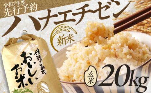 【先行予約 /8月下旬より順次発送 】 【令和7年産】 ハナエチゼン 玄米 10kg×2 （20kg） / 米 お米 健康 小浜市 / 北川博司 [BFDG005]