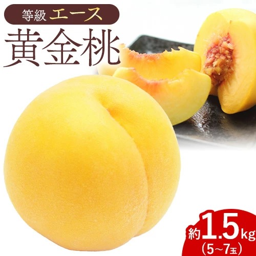 【先行予約】黄金桃 等級 エース 約1.5kg 5～7玉入り もも モモ 岡山 国産 フルーツ 果物 桃茂實苑《8月中旬-9月上旬頃出荷》岡山県 浅口市 フルーツ 桃 もも 果物 青果【配送不可地域あり】