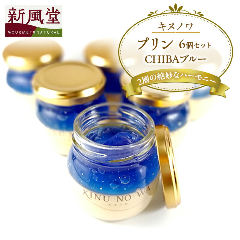 【ふるさと納税】キヌノワプリン　CHIBAブルー6個セット