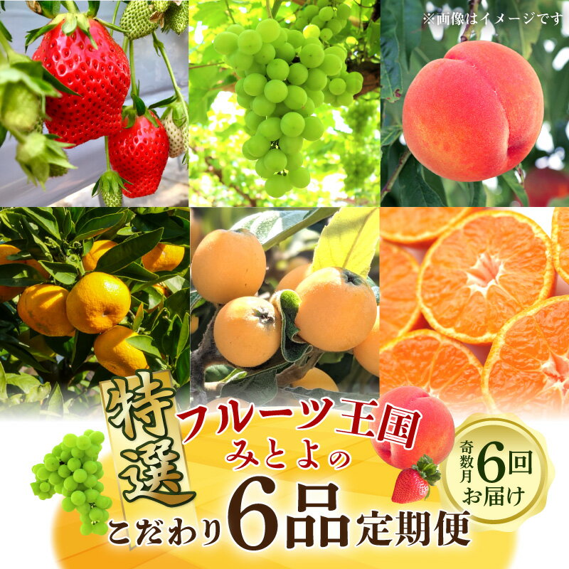 【ふるさと納税】フルーツ 定期 フルーツ王国 みとよ 特選 こだわり 6品 (奇数月) 定期便 フルーツ 果物 果実 旬 旬の時期 6回 みかん いちご びわ もも シャインマスカット お取り寄せ フルーツ王国みとよ ご当地 香川県 三豊市 140,000円 台 返礼品 送料無料 五色青果