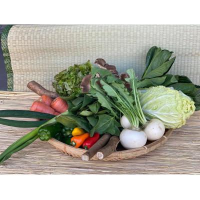ふるさと納税 神栖市 【発送月固定定期便】『身体が喜ぶ野菜』おまかせ10〜12品(上旬発送)全10回 |  | 02