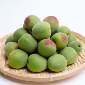 ＜６月発送＞厳選 青梅5kg+150g（傷み補償分）【朝摘み・とれたて直送便】【梅干し・梅酒・梅ジュース】【和歌山産】 ※2024年6月上旬～下旬頃に順次発送予定 ※北海道・沖縄・離島への配送不可 ※
