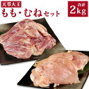 【ふるさと納税】天草大王 もも・むねセット 各1kg 合計2kg 鶏肉 地鶏 お肉 精肉 モモ ムネ 唐揚げ 熊本県産 九州産 国産 冷凍 送料無料