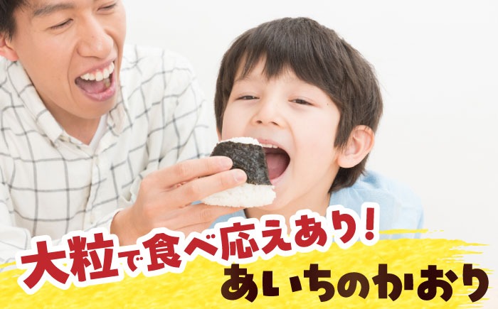 【先行予約/10月より順発送】 【令和7年度産 新米】あいちのかおり　白米　5kg　お米　ご飯　愛西市 / 株式会社戸倉トラクター[AECS001]