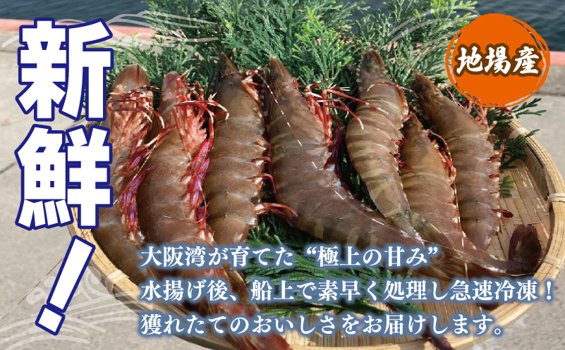 足赤エビ 250g【国産 えび 天然 ぷりぷり 海鮮 水揚げ 生食可】 010B1862