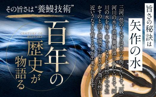 三河一色産うなぎ白焼き大1尾蒲焼大1尾(280g以上)・R005