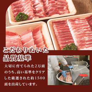 玉城豚 ロース とんてきセット[豚肉 とんてき]