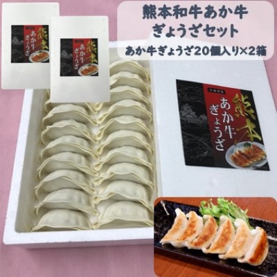 あか牛ぎょうざセット(あか牛餃子20個入り×2箱)(宇城市)【配送不可地域：離島】【1437434】