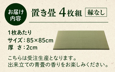 一畳屋 たたみっこ 縁無し 畳 4枚セット 　【一般社団法人クラッシーノこうし】[AYAB108]