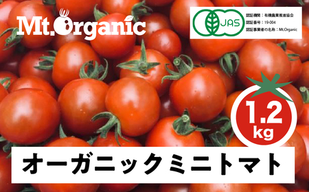 先行予約 オーガニックミニトマト 約1.2kg 有機JAS認証 ミニトマト