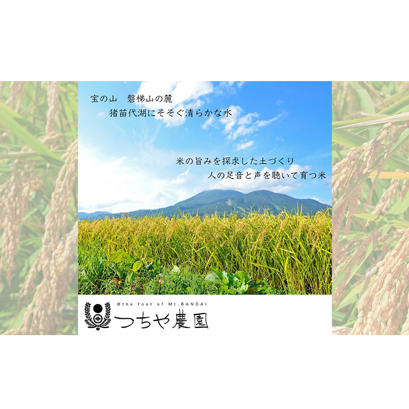 【令和6年産新米】猪苗代町産 特別栽培米コシヒカリ 10kg（精米）