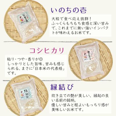 ふるさと納税 東白川村 東白川村産 お米3銘柄食べ比べ 白米 お試し2合×3袋 合計900g |  | 02