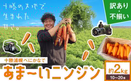 甘～いニンジン 十勝 浦幌べにかなで 【訳あり・不揃い】 約2kg 10～20本 農事組合法人レギューム《12月上旬から5月上旬頃出荷》北海道 浦幌町 人参 にんじん 安心 安全 野菜 お野菜 やさい 紅奏 シャキシャキ 甘い st-p