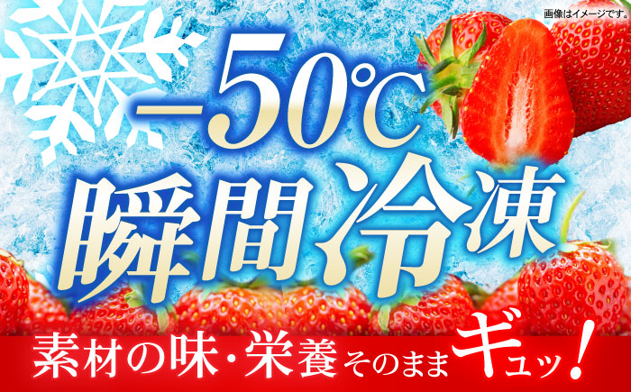 長崎冷果 いちご 4袋セット　/ 冷凍 冷凍フルーツ いちご イチゴ 苺 / 諫早市 / エスジーエス株式会社 [AHEQ003]