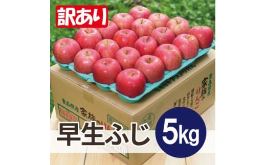 ＜25年11月より順次発送＞平均糖度13度以上! 早生ふじ 約5kg 訳あり【1611788】