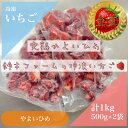 【ふるさと納税】栃木県茂木町産　冷凍いちご　完熟やよいひめ　500g×2【配送不可地域：離島】【1513555】