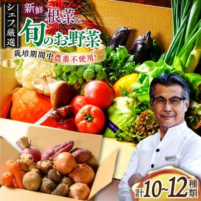 ふるさと納税 大洲市 あったら嬉しい根菜セット♪+おまかせ旬野菜 [AGBX012]