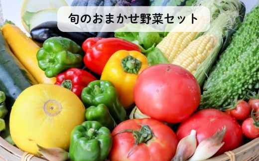 旬のおまかせ野菜セット　4種類以上 ／ 野菜 やさい 旬の野菜 セット 詰め合わせ