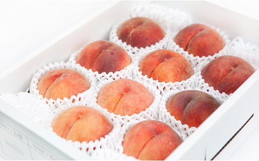 08-06-016　もも(大玉川中島白桃)約3kg