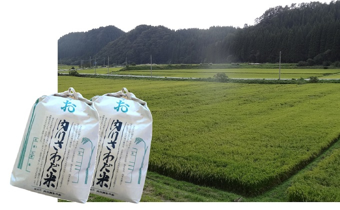 
            一等米・内川さわだ米（あきたこまち）10kg（精米5kg×2）【秋田県五城目町産】
          