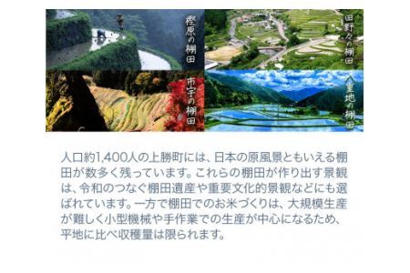 たなだあいす 2個 かみかつ棚田未来づくり協議会 《30日以内に出荷予定(土日祝除く)》 徳島県 上勝町 ふるさと納税