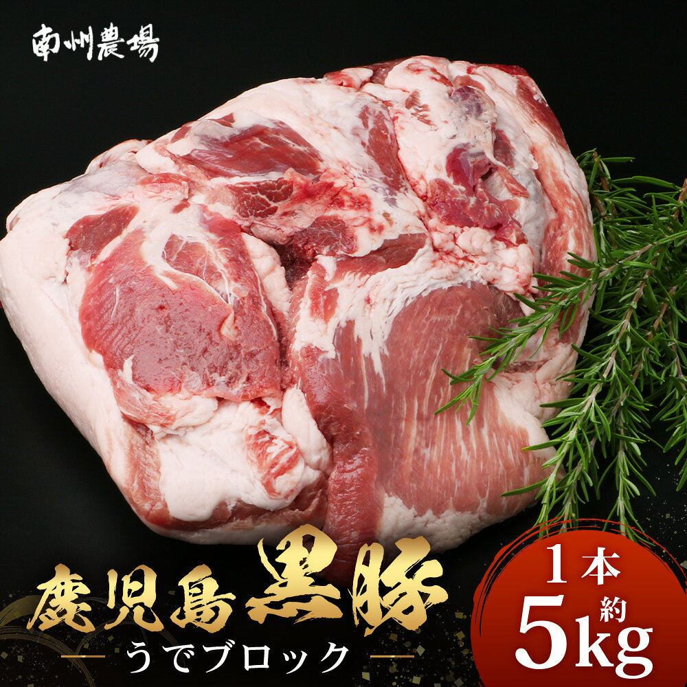 【ふるさと納税】【スピード発送】【南大隅町限定】かごしま黒豚 うでブロック（約5.0kg） NS-4 | 最短 7日以内 1週間以内 肉 豚肉 ぶた 豚 ブタ 黒豚 かごしま黒豚 うで ブロック 新鮮 産地直送 限定 鹿児島県 南大隅町 南州農場