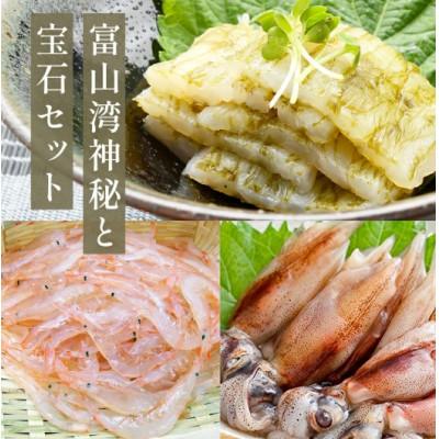 ふるさと納税 氷見市 富山湾の神秘 ほたるいか と富山湾の宝石 白エビ セット 【冷凍】