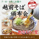 【ふるさと納税】【3回定期便：2025年7月スタート】楽天そばランキング常連 越前そばの里 毎月違う「越前そば」が届く お楽しみ頒布会 送料無料 福井県 越前市 そば 越前そば （18209）