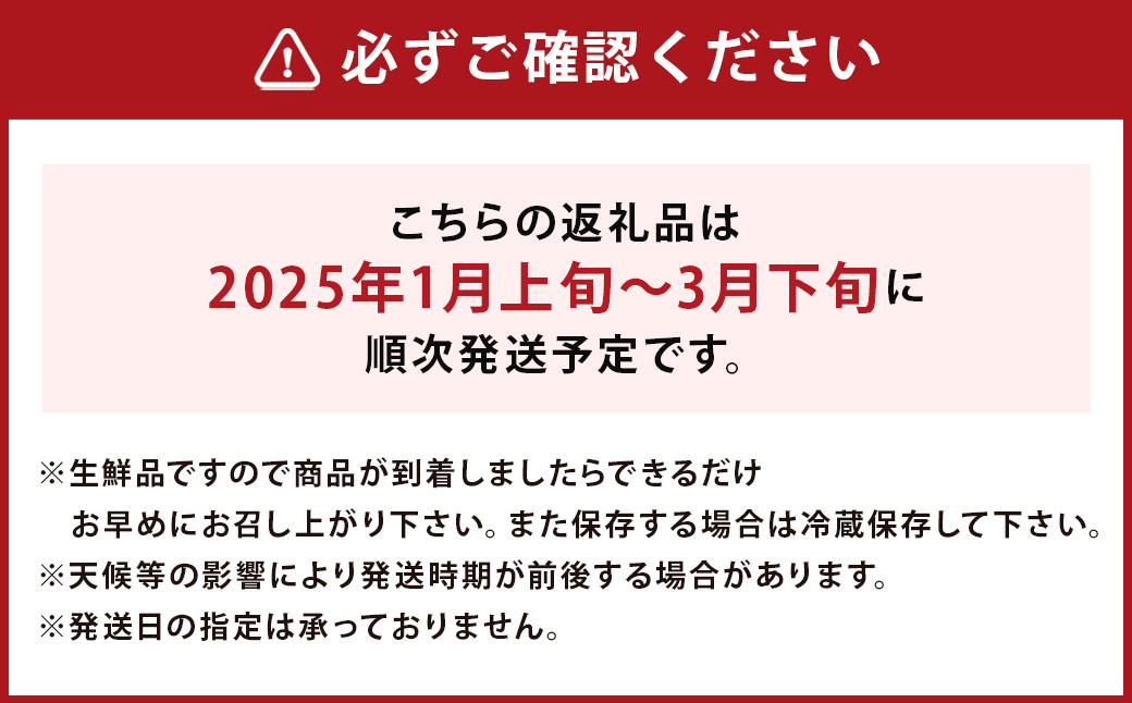 【訳あり】特大 あまおう 約420g(9玉～15玉入) いちご