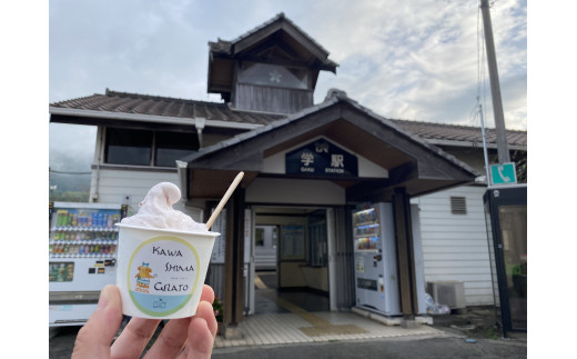 入学 アイス 桜 ジェラート 吉野葛 12個 120ml はちみつ デザート ギフト プレゼント お祝い 春 冷凍 徳島県 吉野川市
