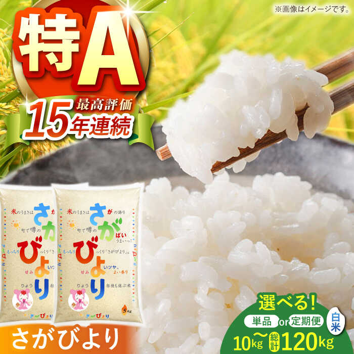 【ふるさと納税】【令和6年産】 さがびより 白米 10kg ( 5kg × 2袋 ) ＜ 単品 ・ 定期便 ＞【株式会社 JA食糧さが】 [HCM001] / 食品 米・雑穀 白米 米 コメ 精米 佐賀県 江北町 送料無料 特A 特A評価米 特A米 生活応援米 令和6年産 白米 10kg 27000 27000円