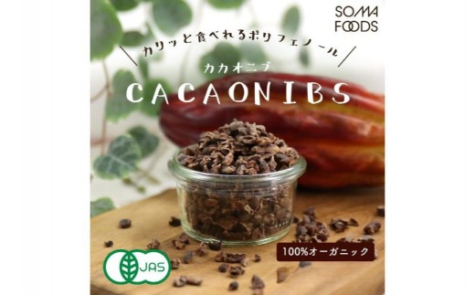 
                  カカオニブ500g×2袋セット 【カカオ豆 焙煎 チップ ポリフェノール 食物繊維 加工品】
                