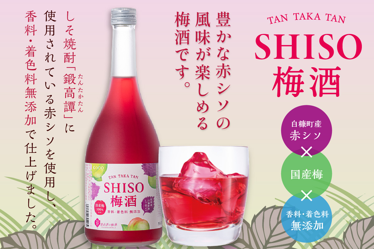 鍛高譚(たんたかたん)の梅酒[720ml]【12本セット】