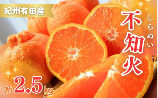 【先行予約】紀州有田産不知火(しらぬひ) 2.5kg ※2026年2月中旬頃〜2026年3月中旬頃に順次発送予定（お届け日指定不可）/ みかん 不知火 しらぬい しらぬひ 果物 果実 柑橘 デザート 和歌山 フルーツ 有田 古座川町【uot794】