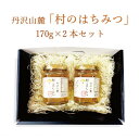 【ふるさと納税】道の駅「清川」からお届け!『丹沢山麓 清川村のはちみつ170gx2本セット』【1427490】