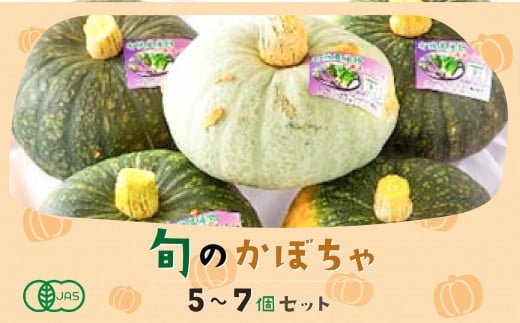 
            【JAS認定有機野菜】旬の南瓜5～7個セット ふるさと納税 人気 おすすめ ランキング 旬 かぼちゃ 南瓜 カボチャ 旬のかぼちゃ パンプキン 野菜 セット JAS認定 有機野菜 有機栽培 無農薬 クリリン 雪化粧 煮つけ 塩煮 天ぷら グラタン スープ グリル おいしい ほくほく 甘い 健康 ヘルシー 北海道 北斗市 送料無料 HOKB005
          