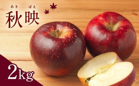 【2025年先行予約】太陽の恵みたっぷり りんご 秋映 約2kg 千曲市産りんご 信州りんご 林檎 長野のりんご 美味しいリンゴ フルーツ くだもの